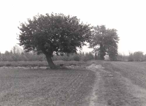 vecchia-strada-x-S.Lorenzo95393 - Copia.jpg